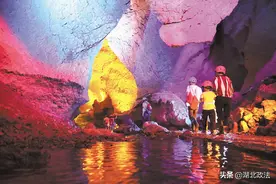 阳新枫林：让庐山客爱上“枫林晚”图片