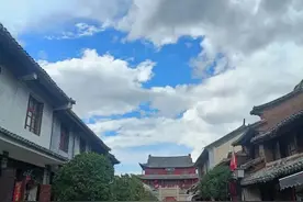 俗话说：龙生龙，凤生凤，老鼠的儿子会打洞图片