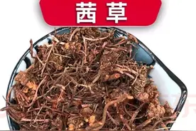 中药古今研究：茜草图片