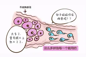 多囊卵巢患者如何备孕？图片