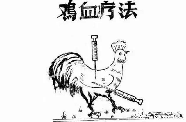 「输血新知」人类体内能输入动物血吗？