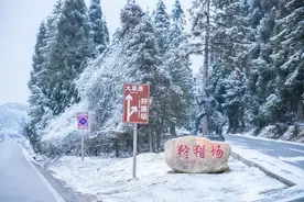 重庆周末赏雪攻略出炉！一起去感受雪国的银装素裹图片