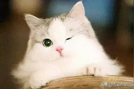 #健康中国行动2030# 一只眼看不见了，另外一只眼会不会也看不见？图片