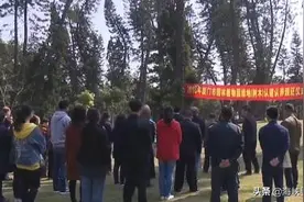 近5年厦门完成植树1380多万株图片