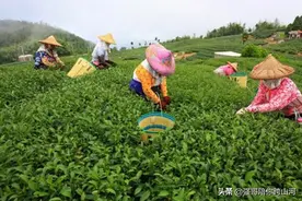 越南街头闲逛，被美女问“要不要生菜”，该如何回答？要知道奥秘图片