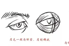 干货教你画五官——五官这一关必须得拿下图片