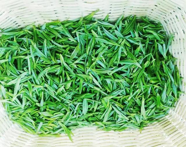 2021金果黄金茶春茶上市，供销荆选邀您品鲜