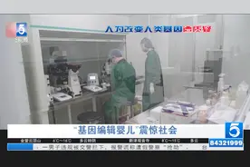 免疫艾滋病 “基因编辑婴儿”中国出生视频封面
