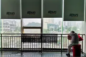 俞敏洪的体面，新东方的代价图片