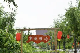 家庭农场可以在耕地上建房吗？图片