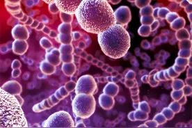 便宜又好用的青霉素，为什么从医院“消失”了？医生：有4个原因图片