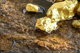 地壳黄金1500亿吨，一人可分20吨，科学家已从酸奶找到提取办法？图片