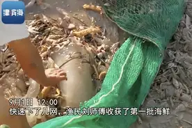 开海啦！一大堆皮皮虾海螃蟹鲅鱼鲶鱼正在滨海码头集结！您带大木盆了吗？图片
