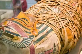 美人鱼真的存在吗？大英博物馆展出美人鱼化石，打捞地点就在日本图片