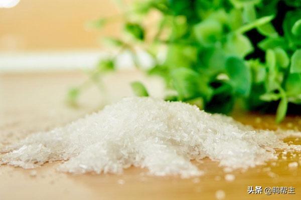 卤菜卤水中味精怎么加才科学？如何做到真正提鲜调味