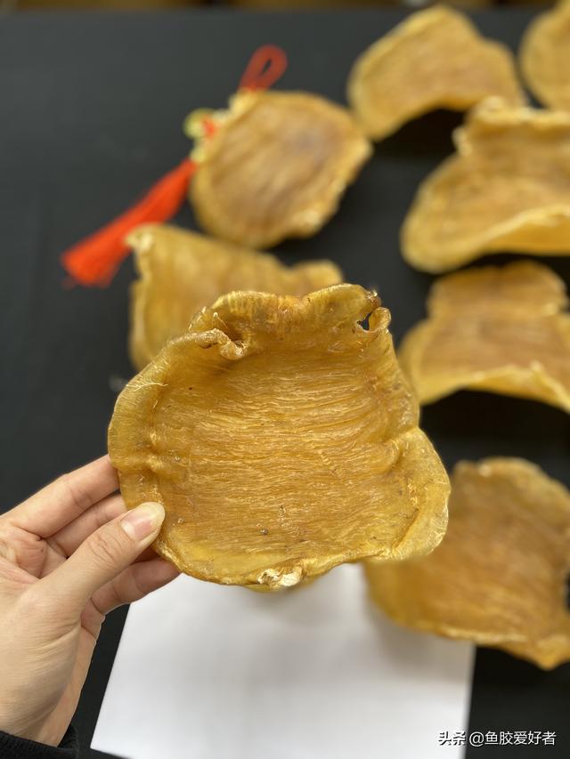 小红鸡赤嘴鱼胶效果好吗 2026年红鸡赤嘴鱼胶图片