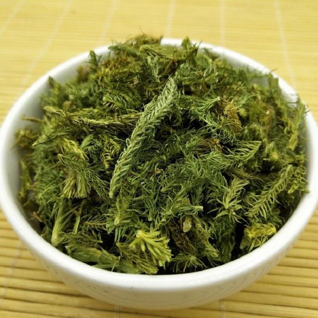 中药古今研究：伸筋草