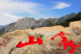 作家张岚：《致敬，沂蒙山和沂蒙山的母亲们》图片