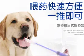 收藏向｜猫狗常备药物，有它们就基本告别医院了图片