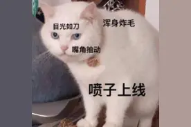 表情包：当妈妈给你搽脸图片