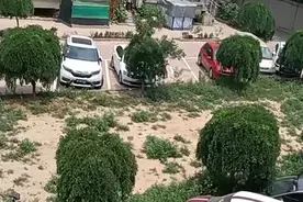 石家庄一小区健身器材拆除近两年，啥时候才能重新安装？图片