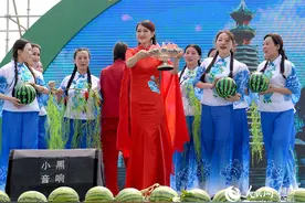 河南第一个“西瓜小镇”每年卖瓜赚20亿图片