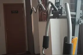 猫头鹰的故事图片