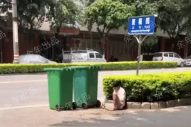 广西荔浦：清秀女孩常坐在垃圾桶旁，“小时候父母吵架她就这样”图片
