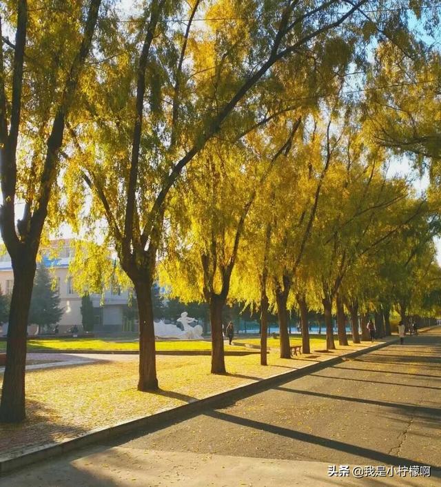 大庆师范学院