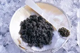 女生看到这道菜会不适，可能不敢吃，但是其营养价值却是很高的！视频封面