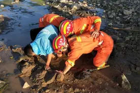 男孩腿陷泥潭无法脱困，张家口消防紧急救援图片