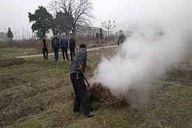农村禁止烧秸秆是哪位专家提出来的？有什么科学依据吗？视频封面