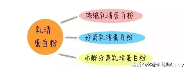 辟谣：蛋白粉vs增肌粉，只有真正了解，才能正确使用