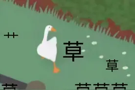 学会以下任何一种乐器，才艺表演你都不会尴尬图片