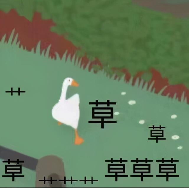 古筝和琵琶哪个能培养气质（学会以下任何一种乐器）