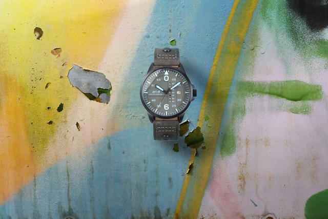 ʷ����ȫ�ֱ��ճ�������ʶ���������ղ���˵��