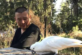 被指不尊师重道后，郭德纲抱侯耀文外孙女上台，小女孩挥手感谢图片