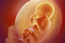 胎宝也有睡眠时间？这2个时间段孕妈要配合，否则可能影响发育图片