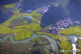 “三月李”“珍珠李”酸酸甜甜嘎嘣脆，好这口的别错过……图片