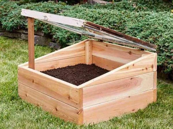 各种大棚花卉的种植方法(种植花卉一亩大棚要投资多少钱)-措必培