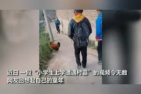 农村孩子上学遭遇公鸡拦路，网友：农村有三霸，都是童年的阴影图片