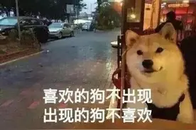 为什么男的冻精这么容易，女的冻卵就这么难？冻卵不是后悔药而是定心丸图片