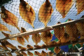 小雪后，这些海鱼正肥美，价格不贵，赶紧囤起来，冬天敞开吃图片