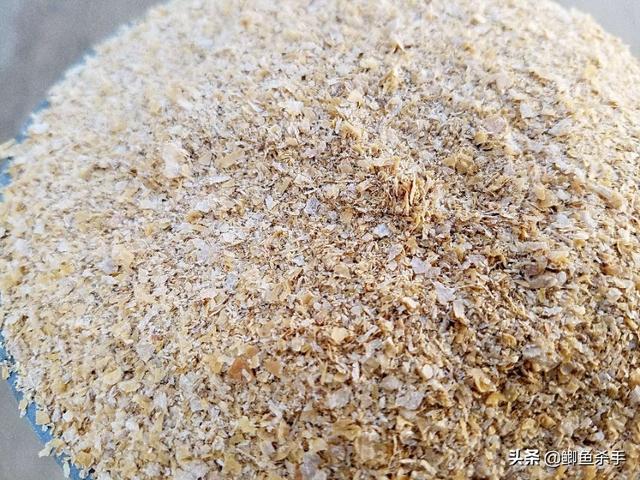 草鱼最爱吃的饵料不在渔具店，而在自己家！这三样东西混合就行