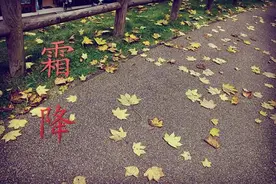 诗歌：霜降感怀（二首）文/崔国栋（辽宁鞍山）图片