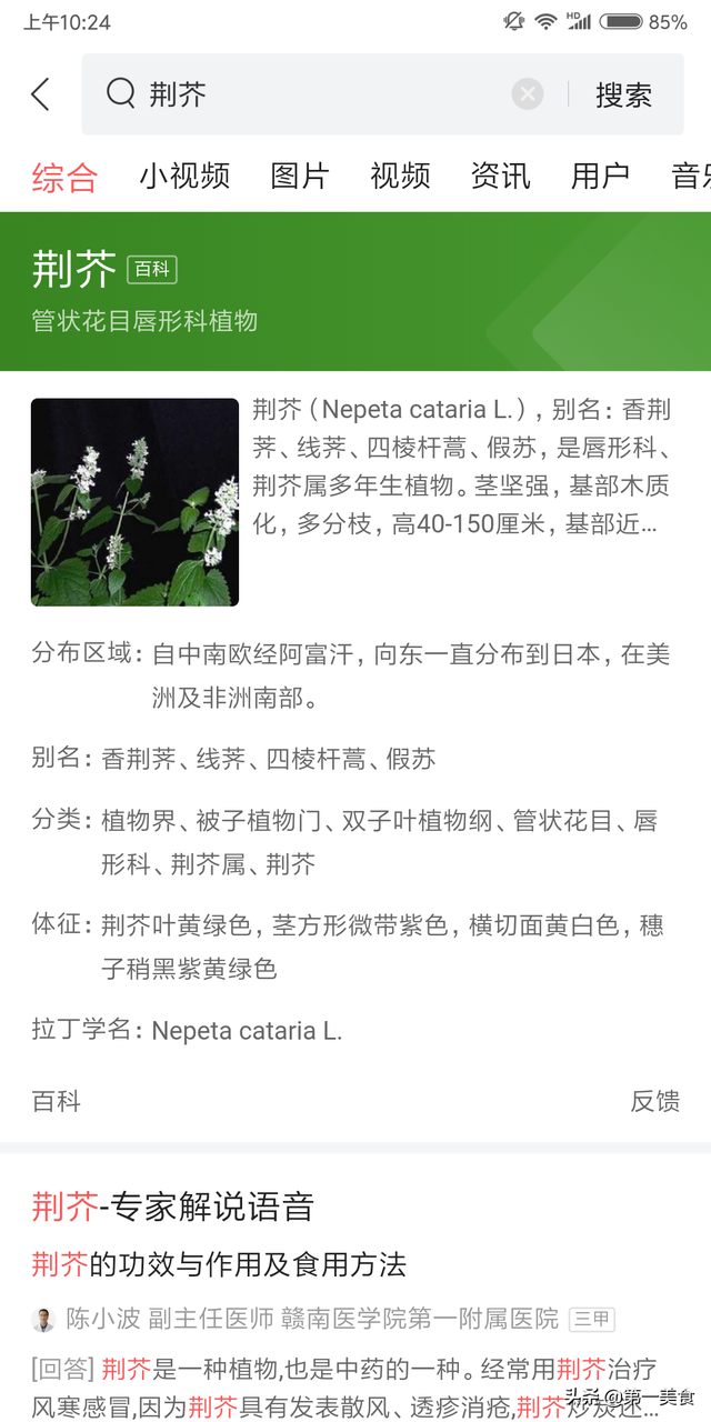 煎鸡蛋怎么煎更完整，大厨最详细的教程讲解，3分钟能学会