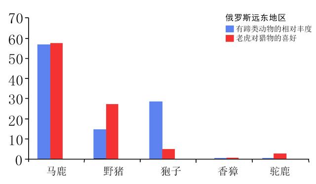 辟谣：野猪、黑熊并不比老虎厉害，一猪二熊三老虎不是实力的排序