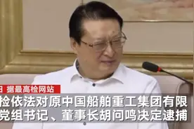 原中国船舶重工集团有限公司董事长胡问鸣被批捕 被指搞权色和钱色交易图片