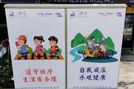 让“文明”抬头可见，“电箱”变身“风景线”！图片