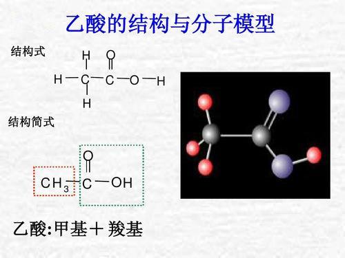 乙酸（食醋），左旋（L型）氨基酸和右旋（D型）氨基酸